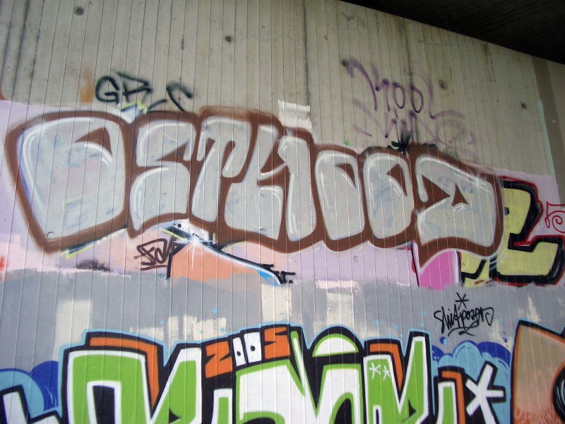 CIMG3358