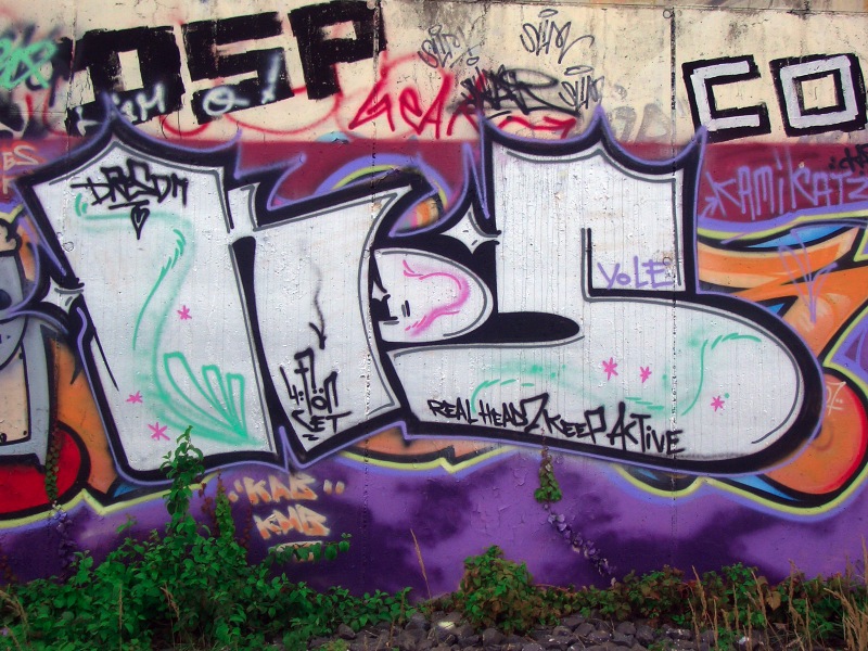 CIMG6782