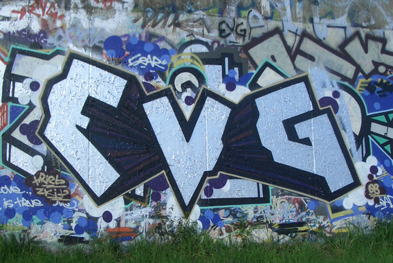 vg0508