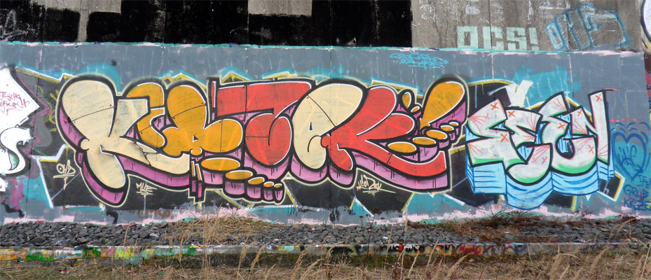 ksksnwrchs1209
