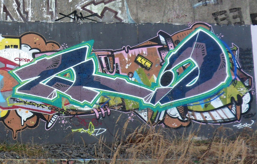zkdwrchs1209