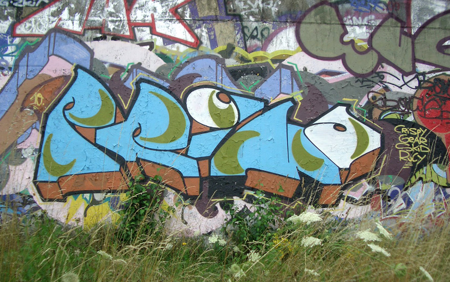 prm_wrchs0810