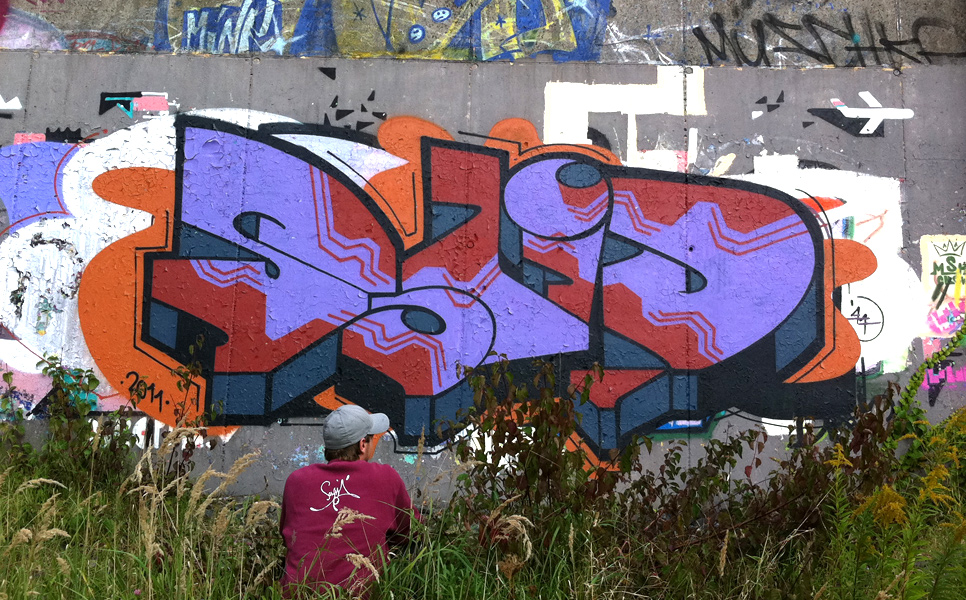 sld081